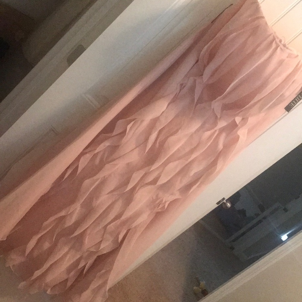 Vera Wang Blush Gown
